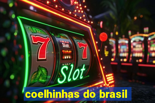 coelhinhas do brasil